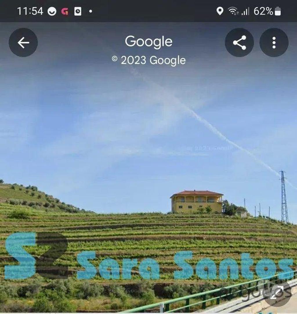 Terrenos Peso da Régua - Fotos para Quinta C Produção vinho vistas sobre Douro-Peso da Régua (SS0687)