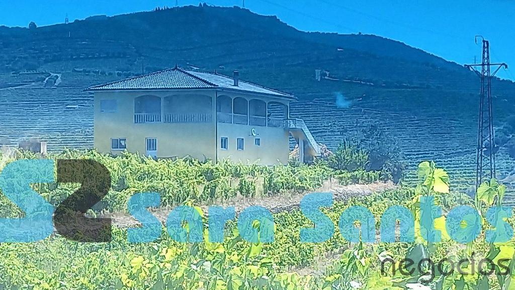 Terrenos Peso da Régua - Fotos para Quinta C Produção vinho vistas sobre Douro-Peso da Régua (SS0687)
