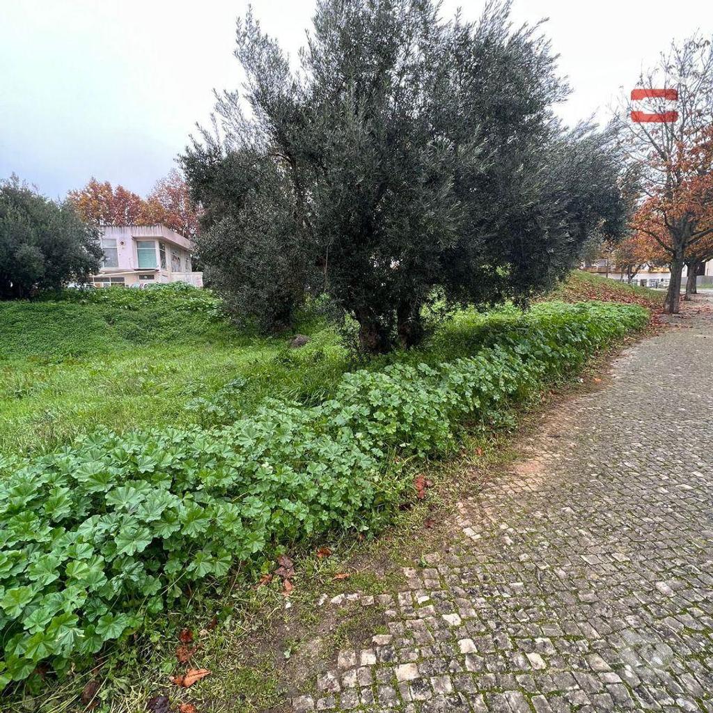 Comprar Loja Torres Novas - Fotos para LOTE COM PROJETO APROVADO PARA CONSTRUÇÃO IMEDIATA