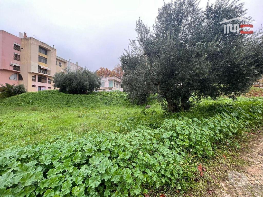 Comprar Loja Torres Novas - Fotos para LOTE COM PROJETO APROVADO PARA CONSTRUÇÃO IMEDIATA