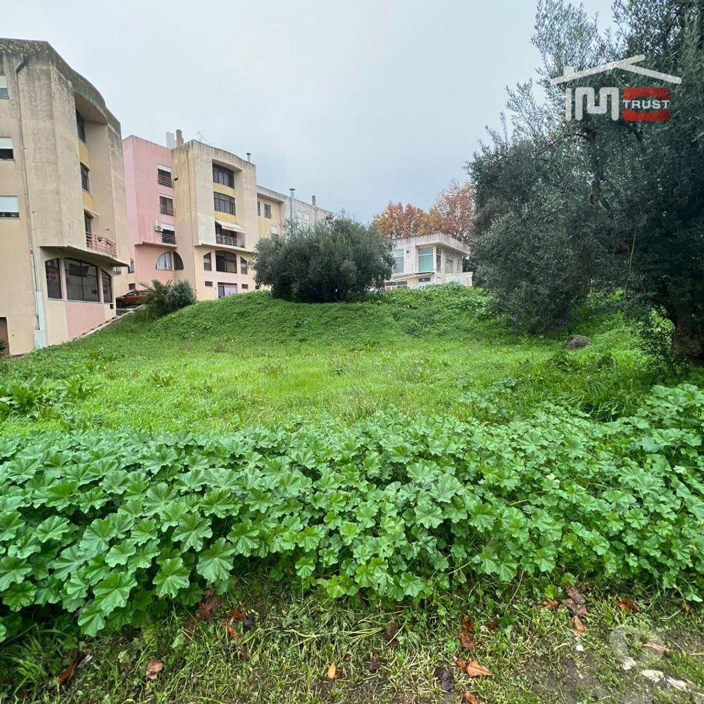 Comprar Loja Torres Novas - Fotos para LOTE COM PROJETO APROVADO PARA CONSTRUÇÃO IMEDIATA