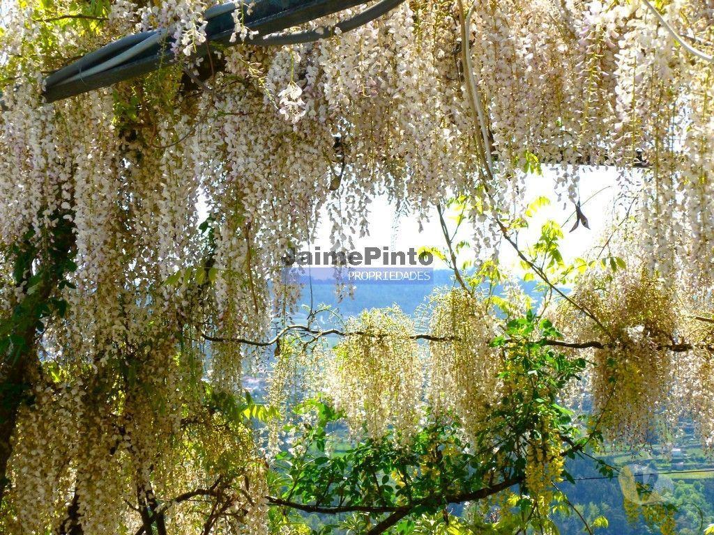 Apartamentos a venda Marco de Canaveses - Fotos para Moradia individual, para venda, Marco de Canaveses -