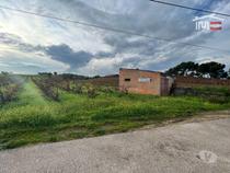 Fotos para Torres-novas-TERRENO RUSTICO COM PLANTAÇAO (7-T-000082)