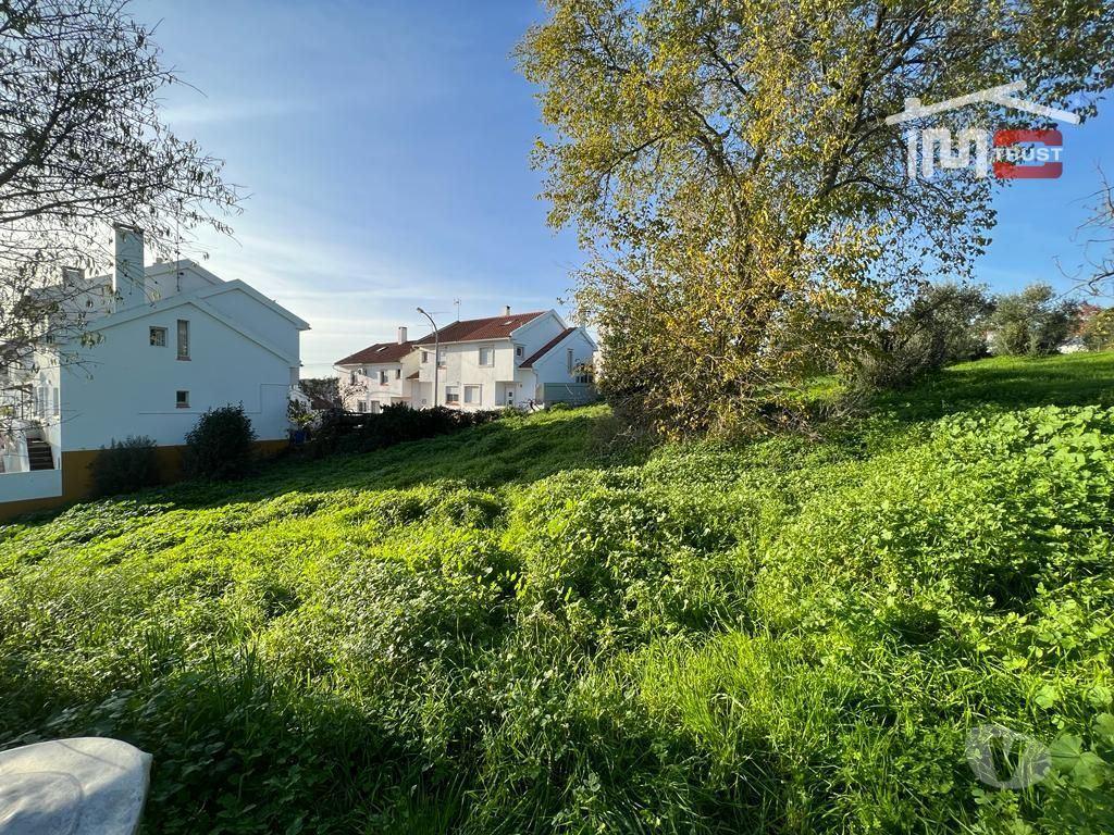 Terrenos Torres Novas - Fotos para CASA EM RUINA COM TERRENO PARA QUEM DESEJA VIVER EM PAZ E