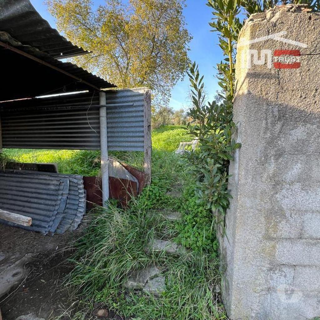 Terrenos Torres Novas - Fotos para CASA EM RUINA COM TERRENO PARA QUEM DESEJA VIVER EM PAZ E