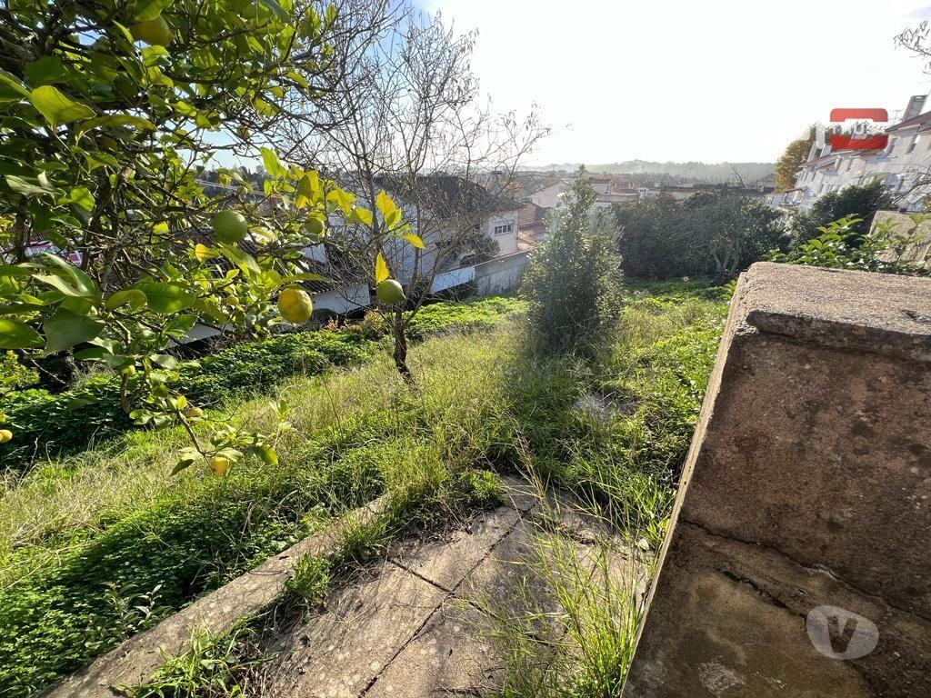 Terrenos Torres Novas - Fotos para CASA EM RUINA COM TERRENO PARA QUEM DESEJA VIVER EM PAZ E