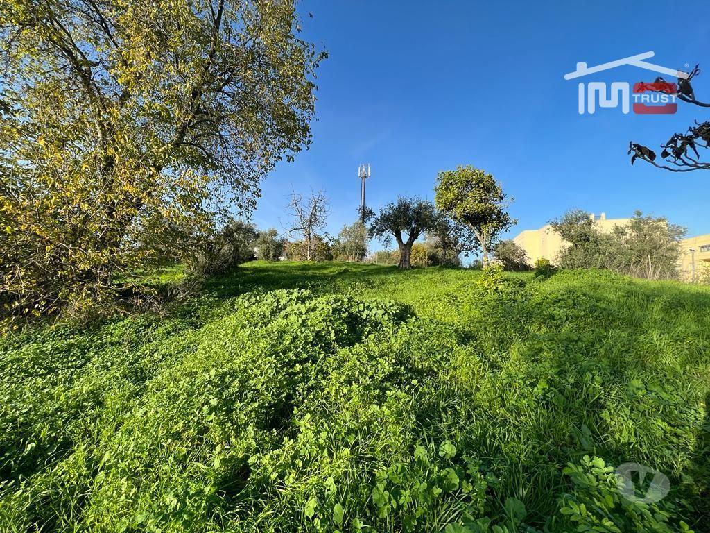 Terrenos Torres Novas - Fotos para CASA EM RUINA COM TERRENO PARA QUEM DESEJA VIVER EM PAZ E