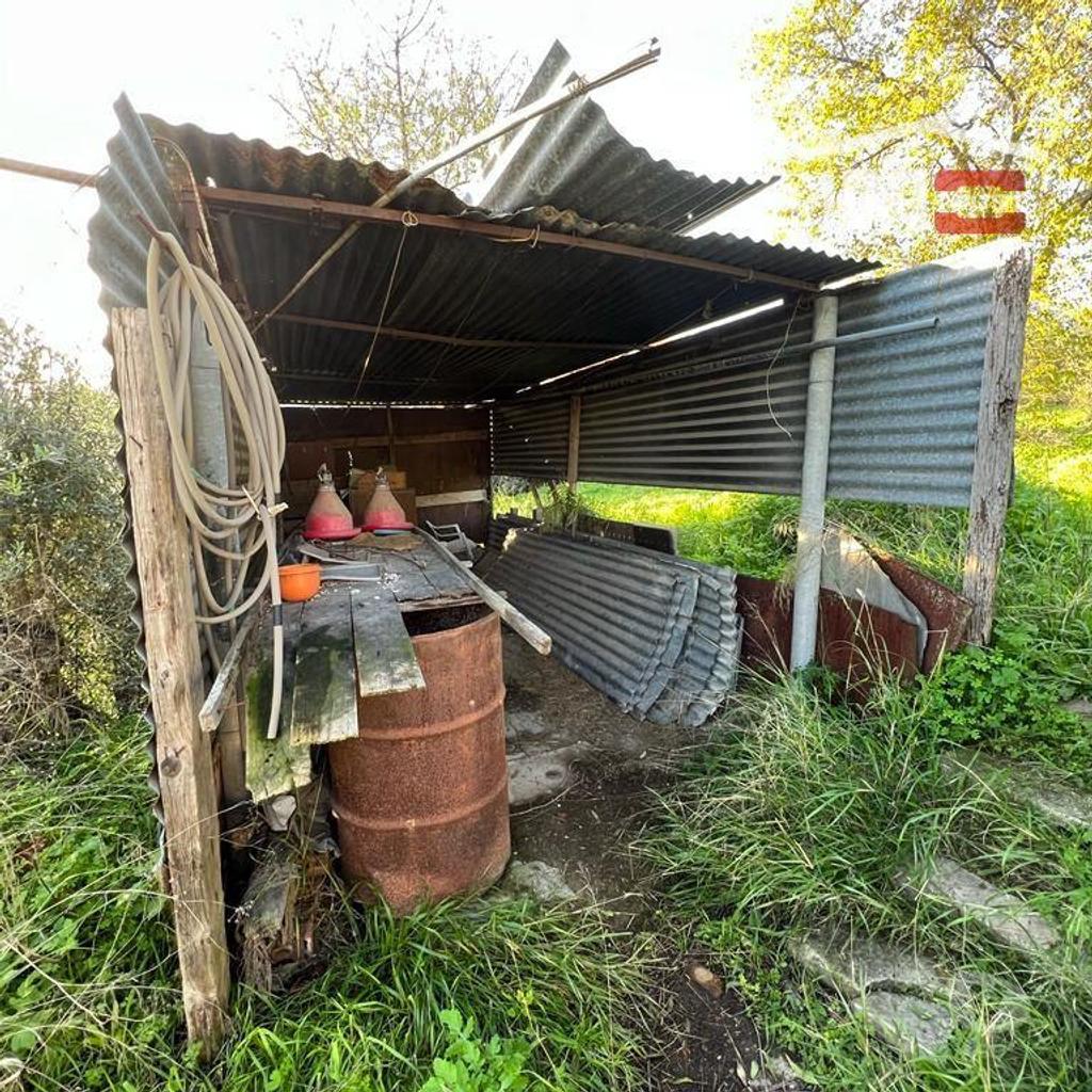 Terrenos Torres Novas - Fotos para CASA EM RUINA COM TERRENO PARA QUEM DESEJA VIVER EM PAZ E