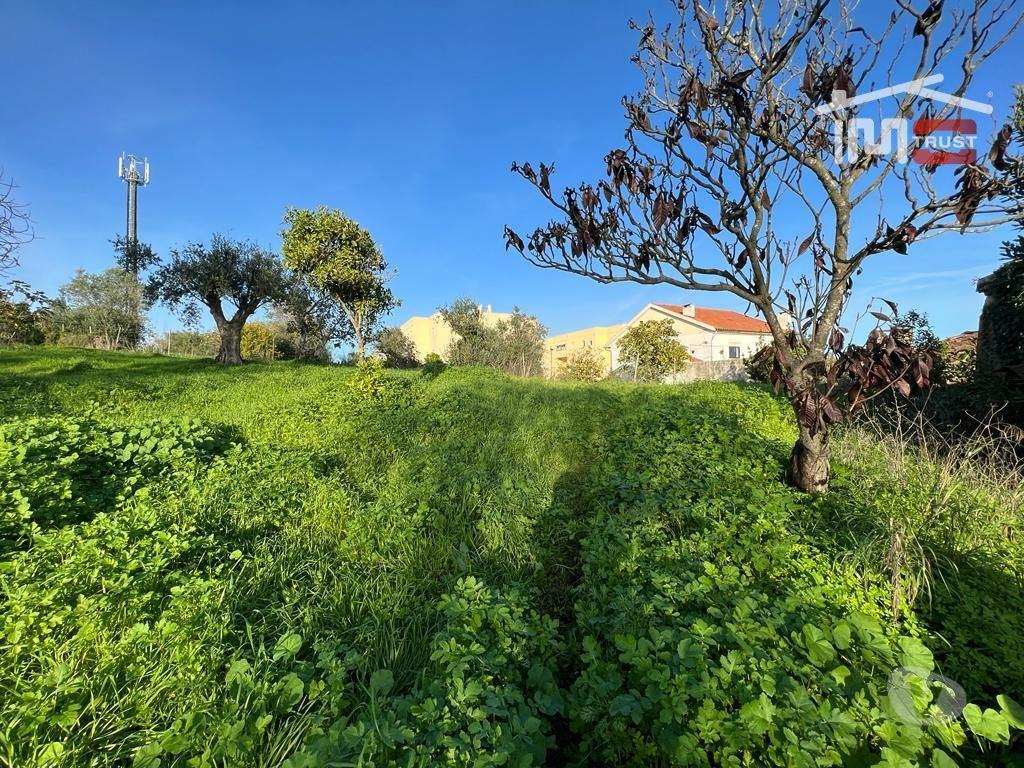 Terrenos Torres Novas - Fotos para CASA EM RUINA COM TERRENO PARA QUEM DESEJA VIVER EM PAZ E