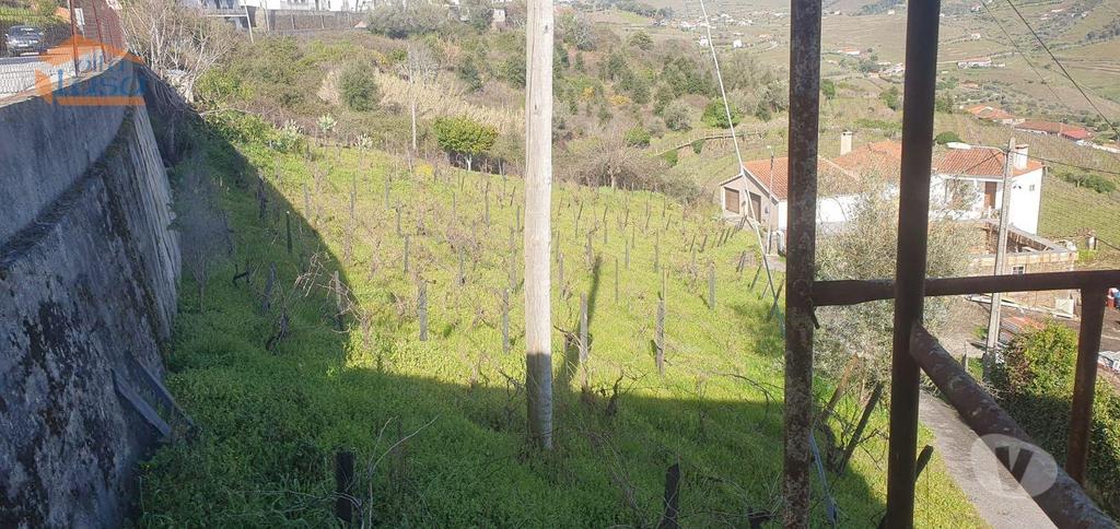 Apartamentos a venda Mesão Frio - Fotos para Mesao-frio-Moradia para recuperar com vinha (803241002)