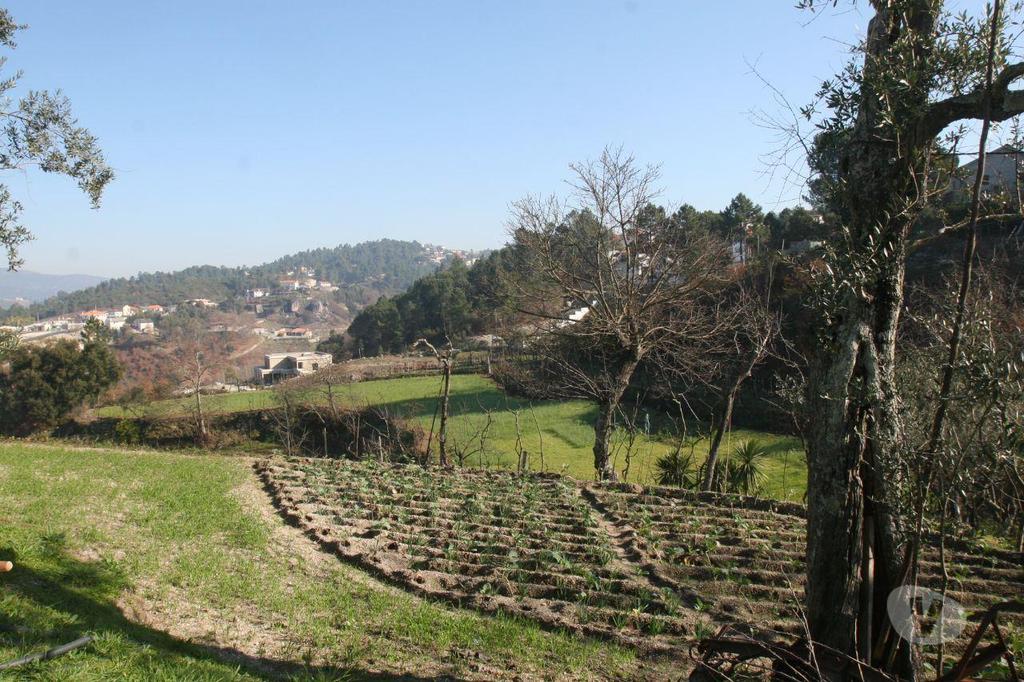 Terrenos Amarante - Fotos para Quintinha com 2.55Ha de Terreno, Moradia P Restauro ou
