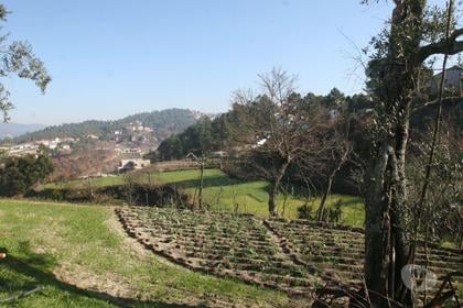 Terrenos - Fotos para Quintinha com 2.55Ha de Terreno, Moradia P Restauro ou