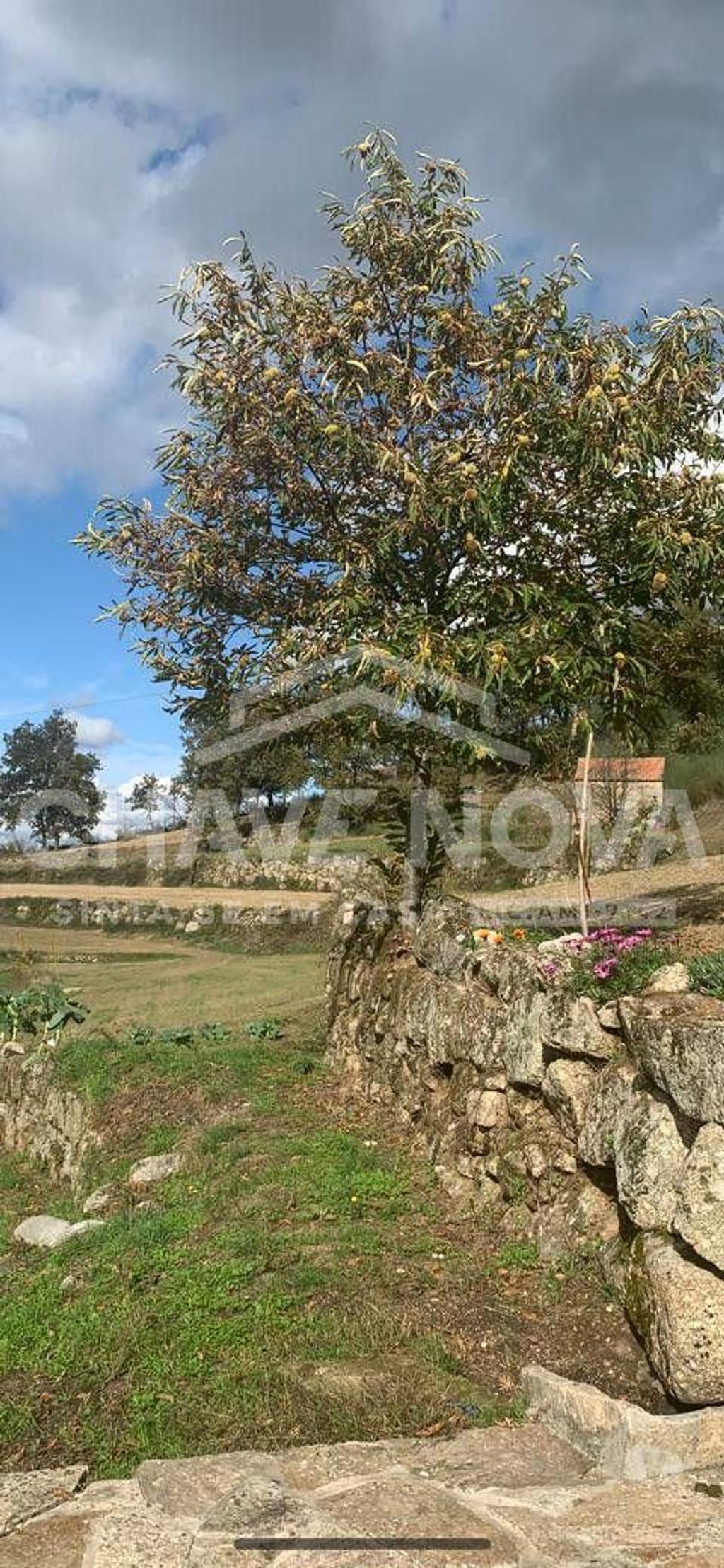 Apartamentos a venda Celorico da Beira - Fotos para Terreno Rústico com Moradias para Recuperar - Linhares (Celorico