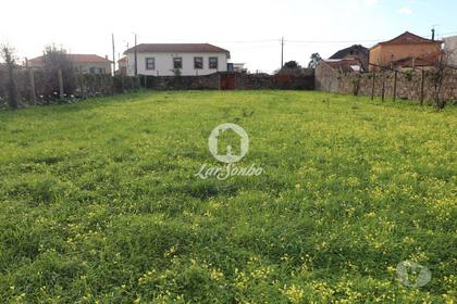 Comprar Loja - Fotos para Terreno na Madalena