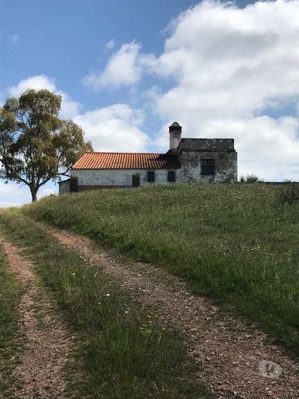 Terrenos Moura - Fotos para Herdade, para venda, Moura - Safara e Santo Aleixo da