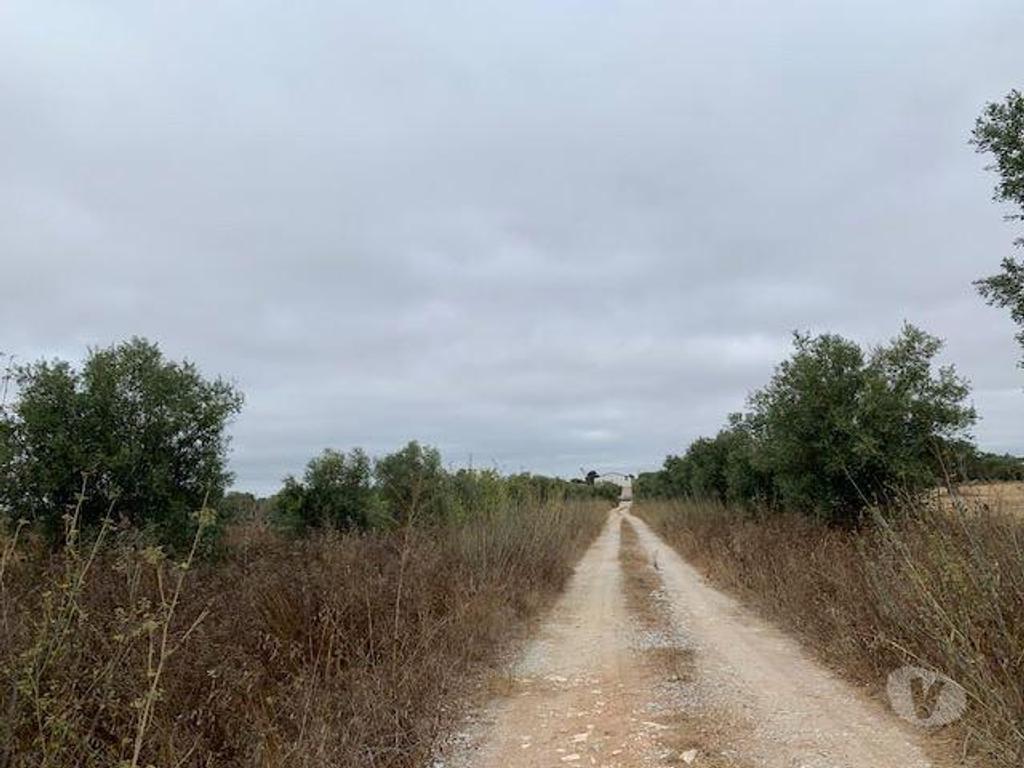 Terrenos Beja - Fotos para Beja-Quinta Alentejo com 5,6Ha (ALEN QUI 001 21)
