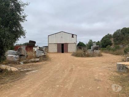 Terrenos - Fotos para Beja-Quinta Alentejo com 5,6Ha (ALEN QUI 001 21)