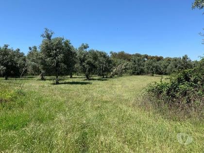 Terrenos a venda - Fotos para Quintinha, para venda, Ourique - Ourique (ALEN QUI 001 20)