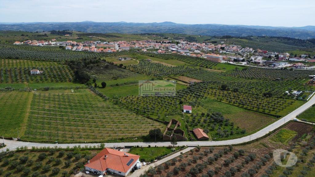Terrenos Alfândega da Fé - Fotos para Quinta premium à Venda em Alfândega da Fé (Q 00422)