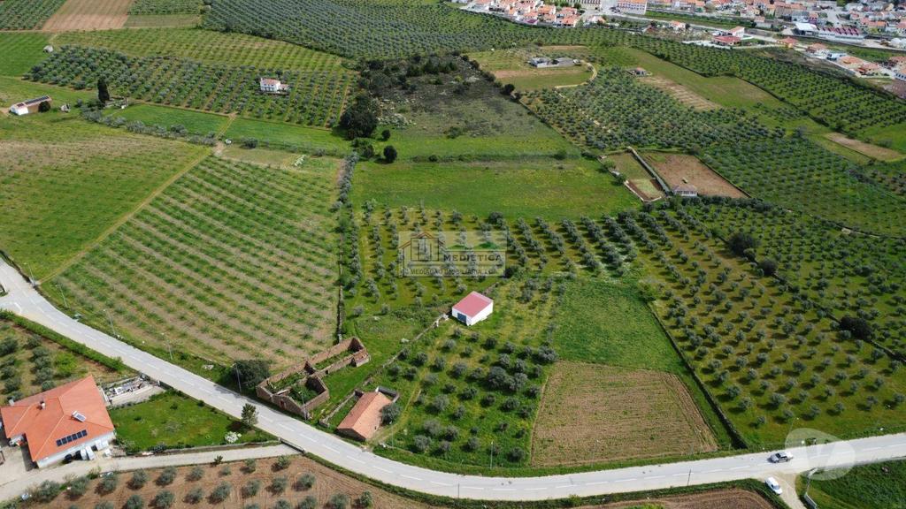 Terrenos Alfândega da Fé - Fotos para Quinta premium à Venda em Alfândega da Fé (Q 00422)