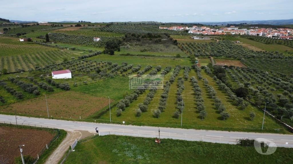 Terrenos Alfândega da Fé - Fotos para Quinta premium à Venda em Alfândega da Fé (Q 00422)
