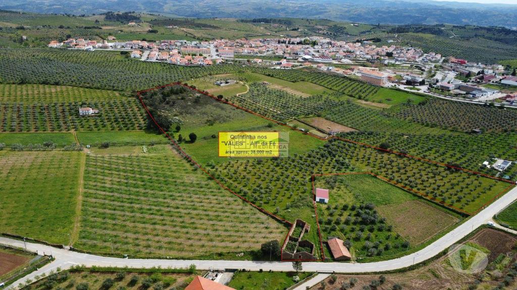 Terrenos Alfândega da Fé - Fotos para Quinta premium à Venda em Alfândega da Fé (Q 00422)