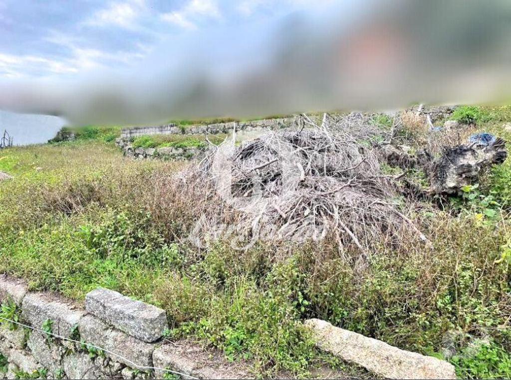 Terrenos Barcelos - Fotos para Barcelos-Terreno para construção de moradia (265-T-01483)