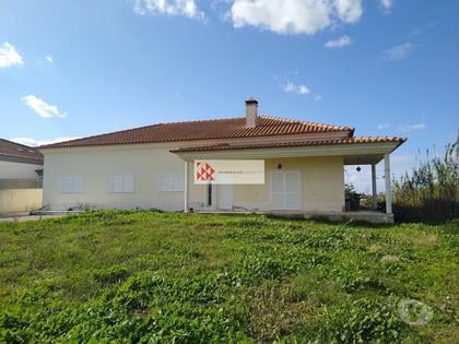 Casas a venda - Fotos para Moradia T3 Terrea em Lote com 3800m2 em Vale da Vila, Pinhal