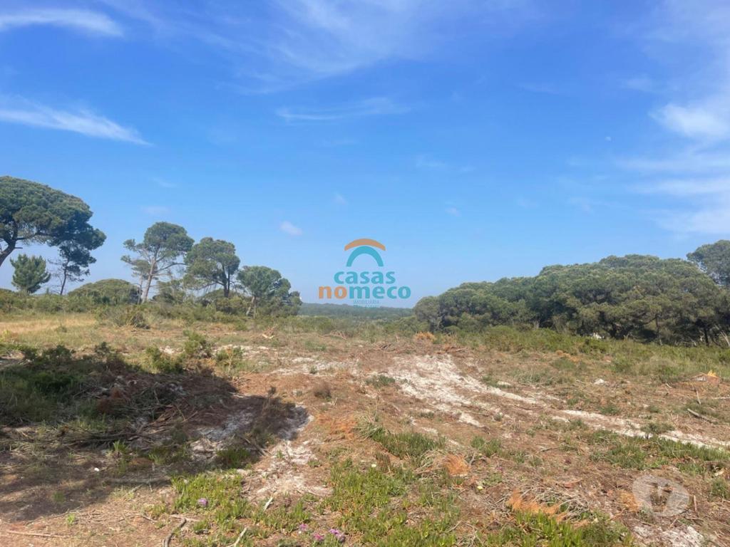 Terrenos Sesimbra - Fotos para Sesimbra-Terreno rústico junto à praia do Meco! (0000003294)