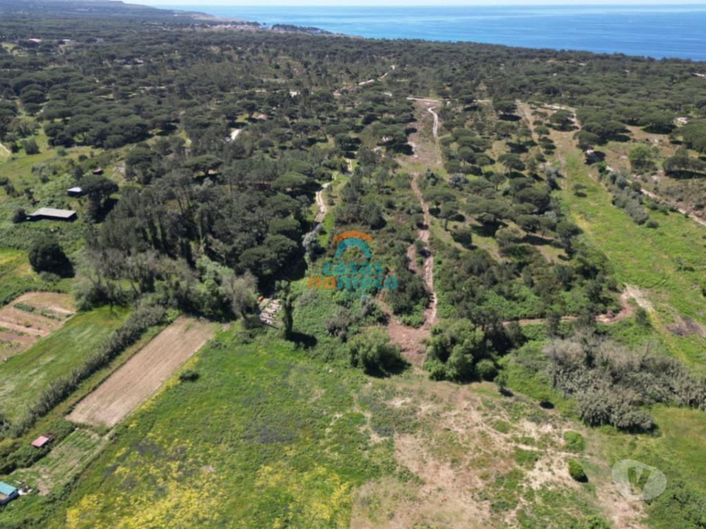 Terrenos Sesimbra - Fotos para Sesimbra-Terreno rústico junto à praia do Meco! (0000003294)