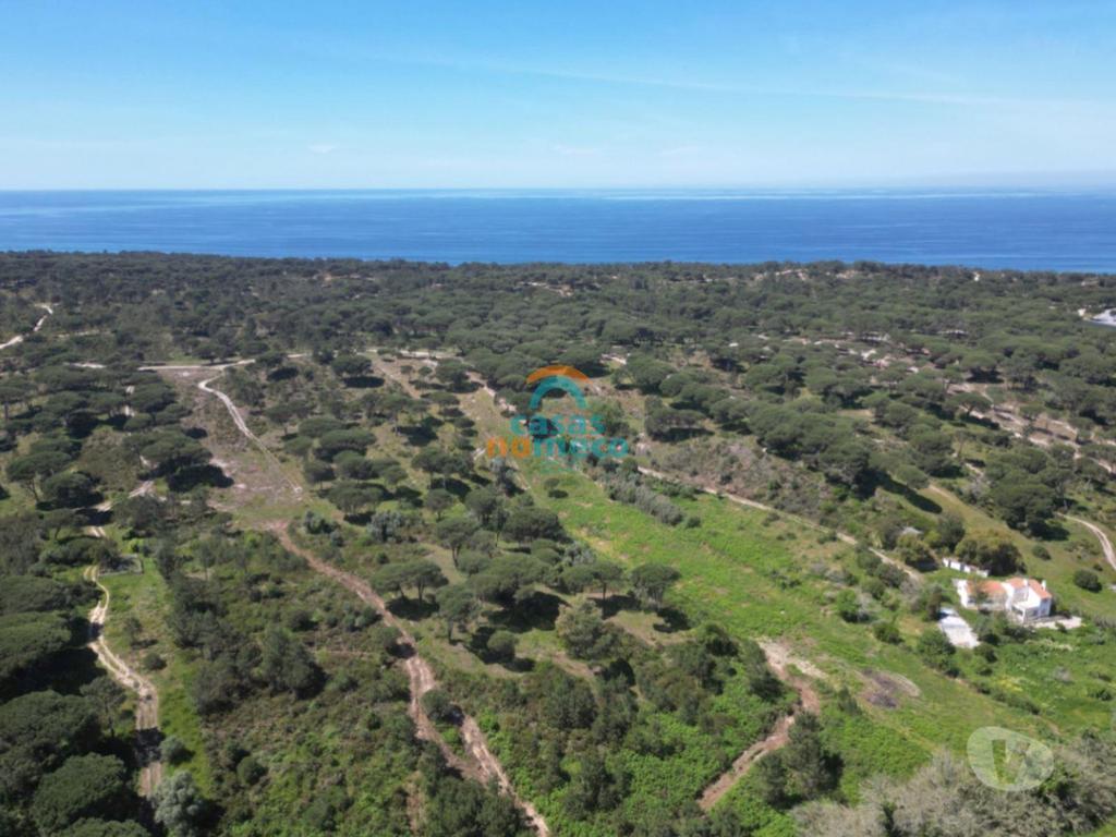 Terrenos Sesimbra - Fotos para Sesimbra-Terreno rústico junto à praia do Meco! (0000003294)