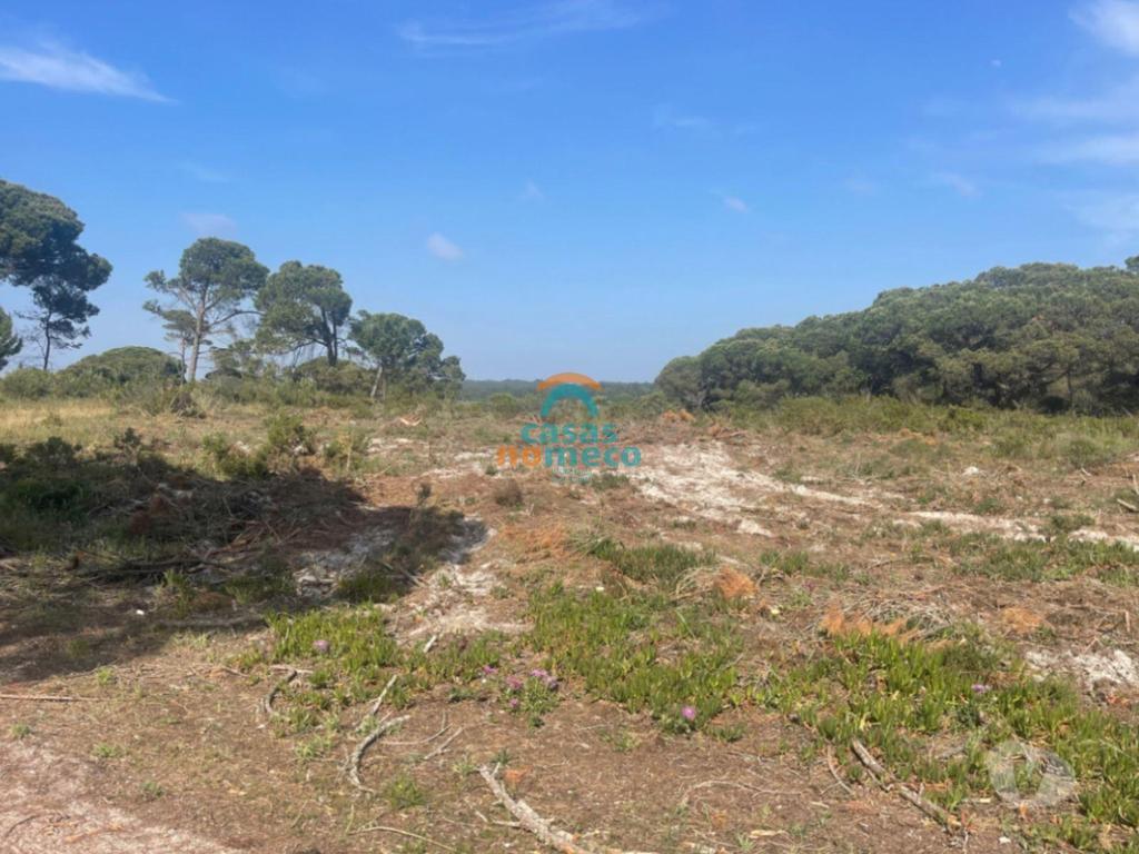 Terrenos Sesimbra - Fotos para Sesimbra-Terreno rústico junto à praia do Meco! (0000003294)