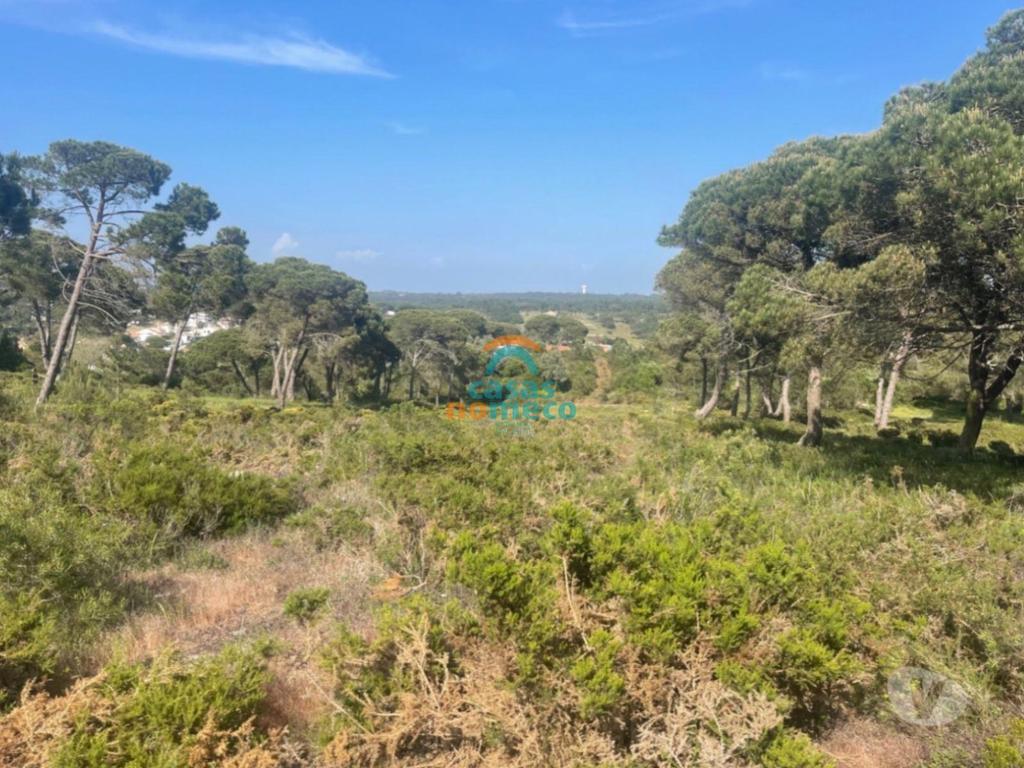 Terrenos Sesimbra - Fotos para Sesimbra-Terreno rústico junto à praia do Meco! (0000003294)