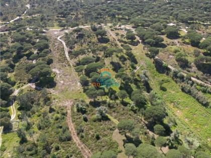Terrenos a venda - Fotos para Sesimbra-Terreno rústico junto à praia do Meco! (0000003294)