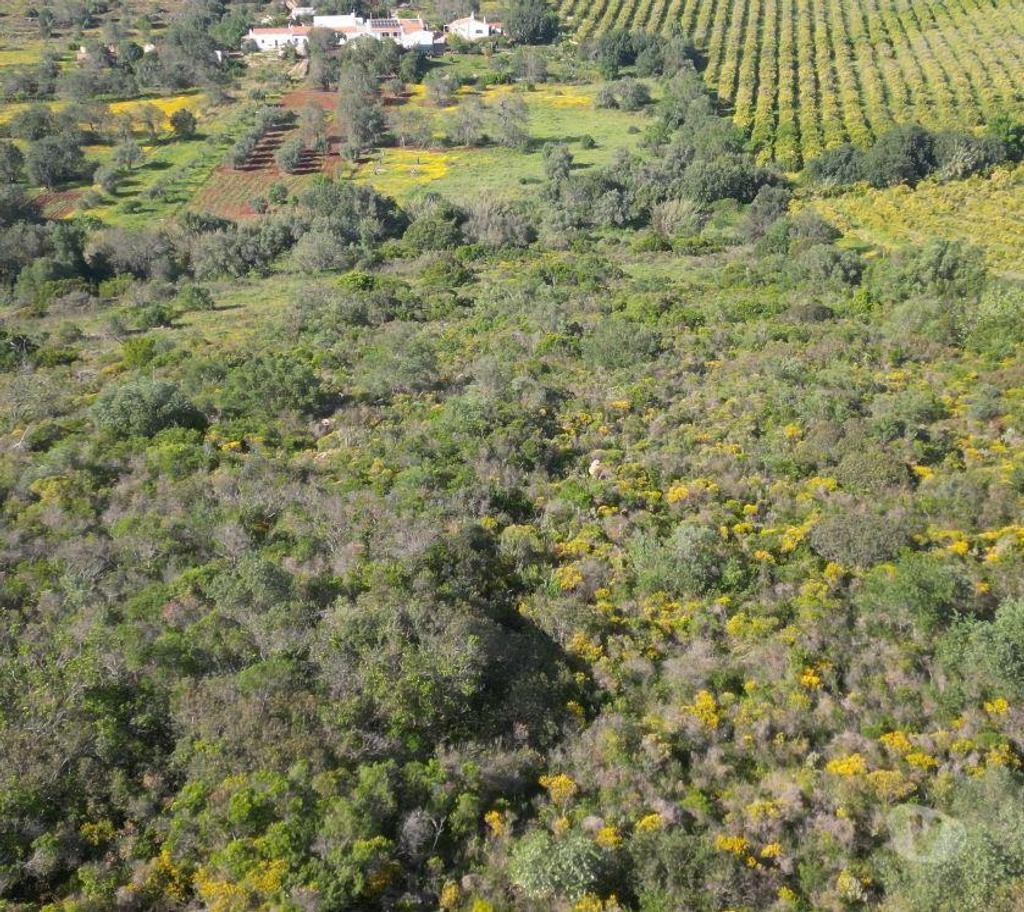 Terrenos Loulé - Fotos para Loule-Expansivo Terreno Rústico em Alte (ALBF 00106)