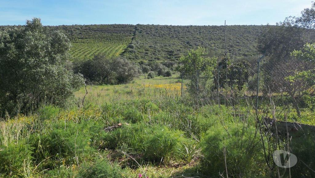 Terrenos Loulé - Fotos para Loule-Expansivo Terreno Rústico em Alte (ALBF 00106)