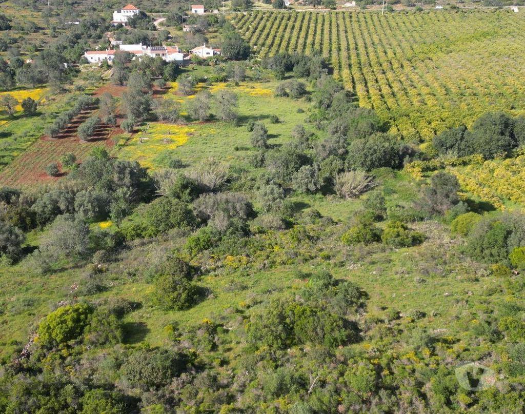 Terrenos Loulé - Fotos para Loule-Expansivo Terreno Rústico em Alte (ALBF 00106)