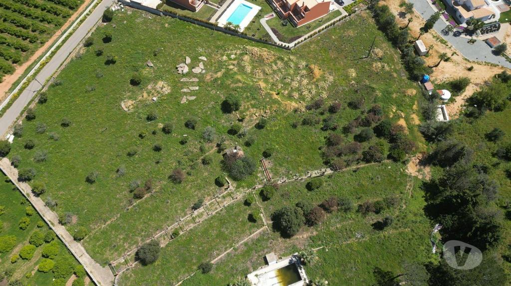 Terrenos Silves - Fotos para Quinta em Alcantarilha Viabilidade para 6 Vivendas e Moradia T5