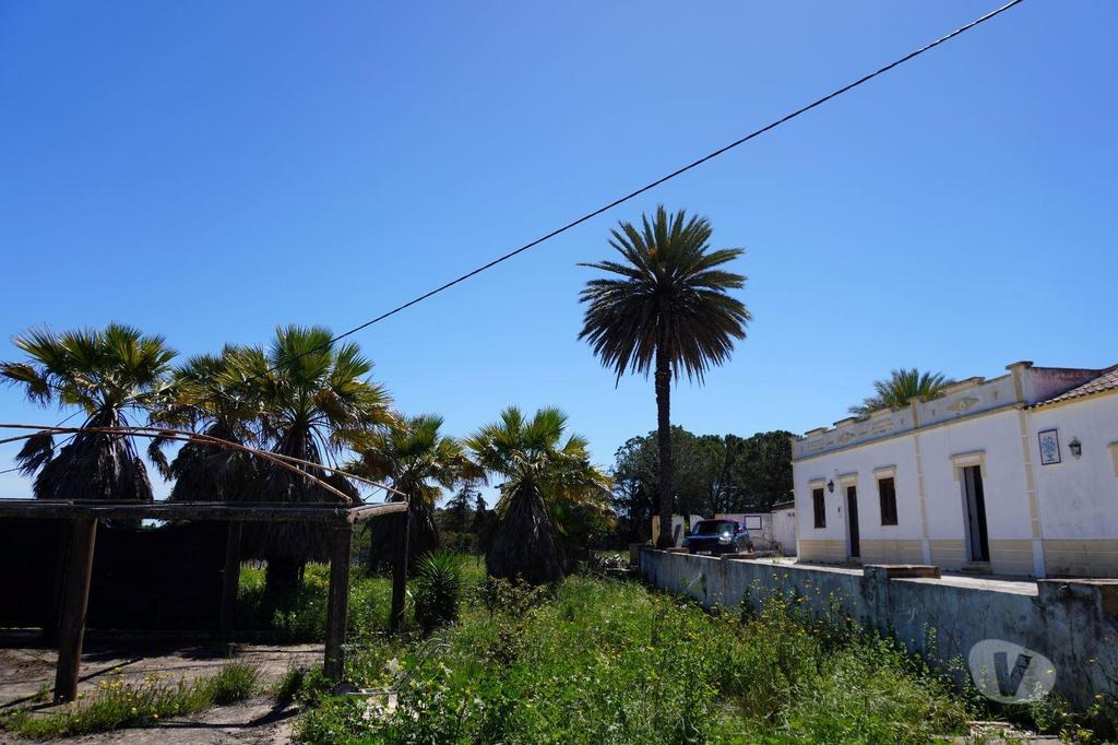 Terrenos Silves - Fotos para Quinta em Alcantarilha Viabilidade para 6 Vivendas e Moradia T5