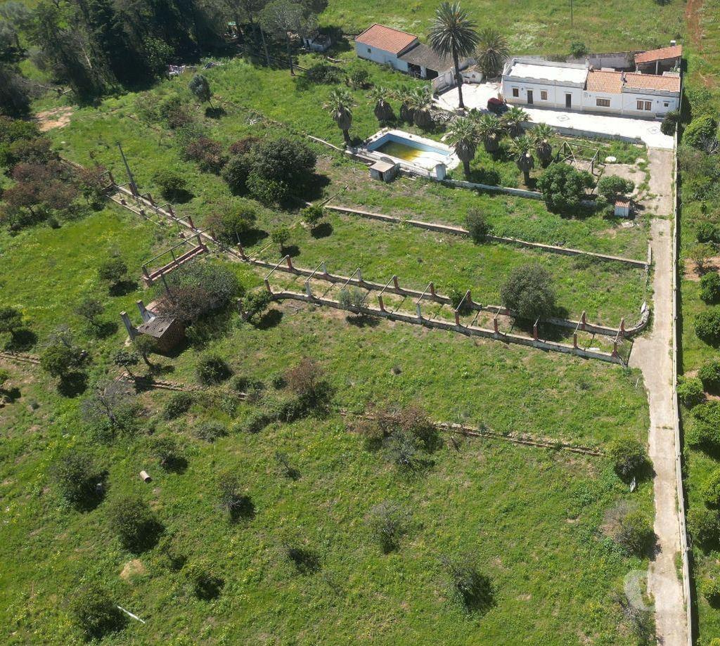 Terrenos Silves - Fotos para Quinta em Alcantarilha Viabilidade para 6 Vivendas e Moradia T5