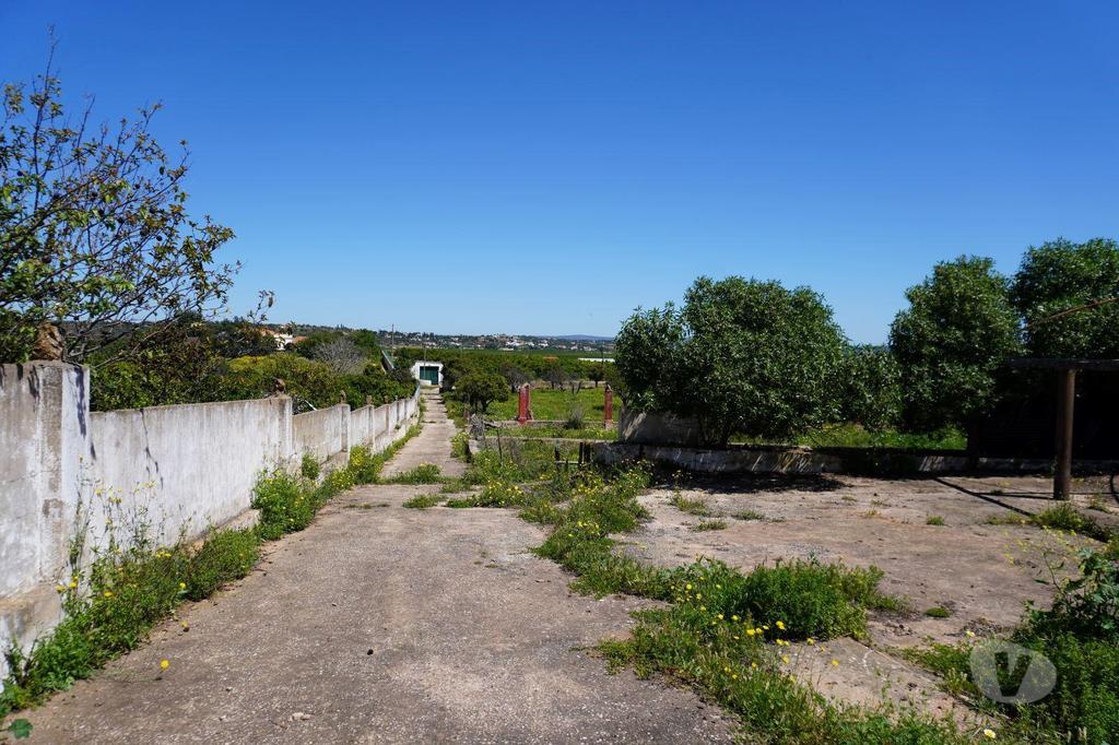 Terrenos Silves - Fotos para Quinta em Alcantarilha Viabilidade para 6 Vivendas e Moradia T5