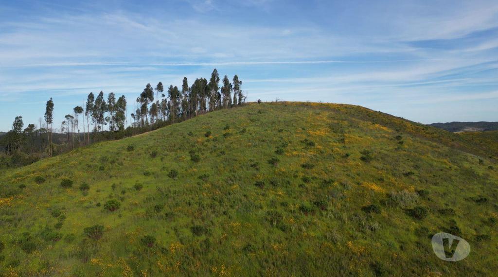Terrenos Silves - Fotos para Terreno Exclusivo de 5 Hectares no Cume da Montanha Vista