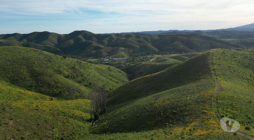Terrenos Silves - Fotos para Terreno Exclusivo de 5 Hectares no Cume da Montanha Vista
