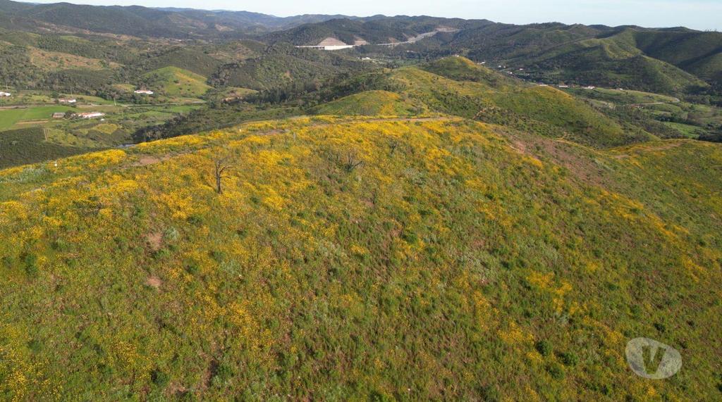 Terrenos Silves - Fotos para Terreno Exclusivo de 5 Hectares no Cume da Montanha Vista