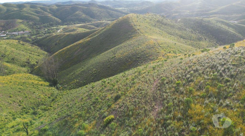 Terrenos Silves - Fotos para Terreno Exclusivo de 5 Hectares no Cume da Montanha Vista