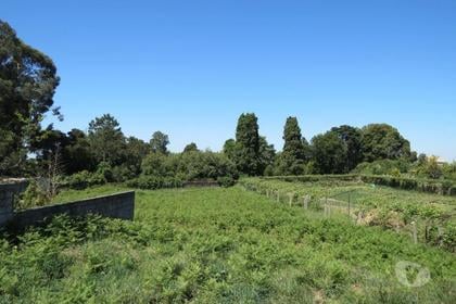 Terrenos a venda - Fotos para Lote terreno com 4000 m2 para construção (AR 01099)
