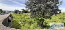 Gondomar-Terreno com 1.335 m2 na Areosa - Rio Tinto (240058)