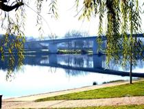 Quinta 1.500m2 com Moradia V4. Portugal, V. do Castelo, Ponte de