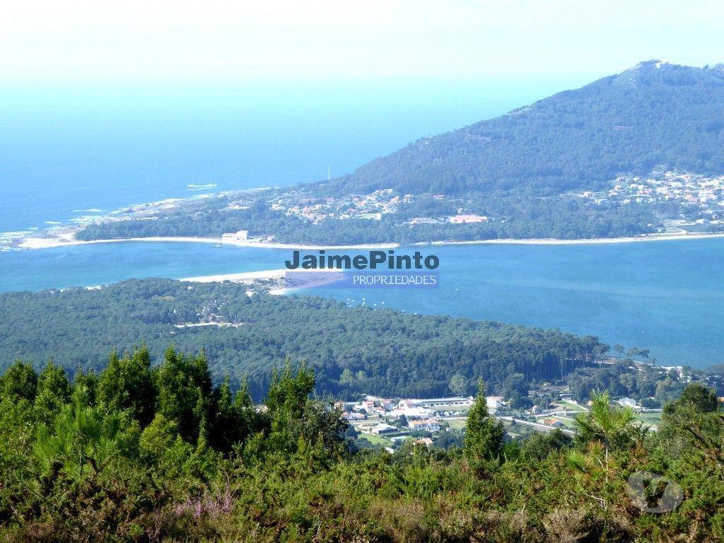 Terrenos Caminha - Fotos para Casas de 3 e 4 quartos em terreno de 9.000m2. Portugal, Viana do