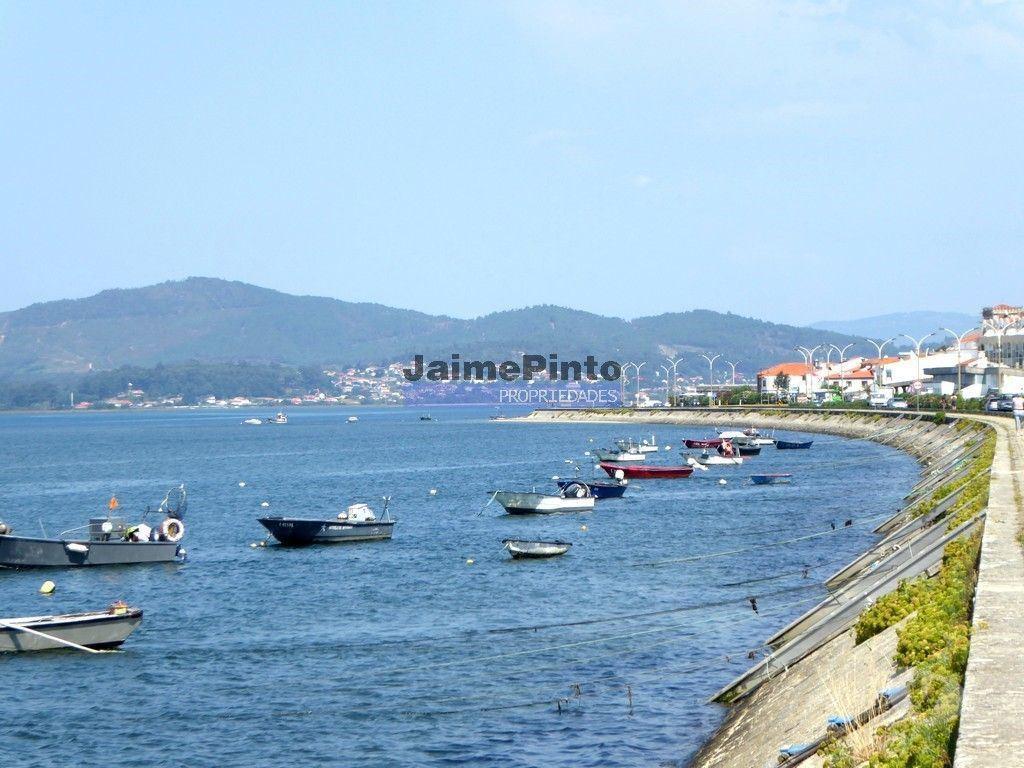 Terrenos Caminha - Fotos para Casas de 3 e 4 quartos em terreno de 9.000m2. Portugal, Viana do